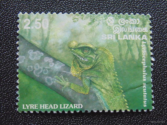 Шри-Ланка. Фауна.