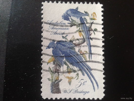 США 1967 птицы