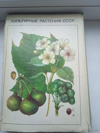 Культурные растения СССР Мысль 1978 год,  80 цветных таблиц (страниц) как на фото, описание 4 фото
