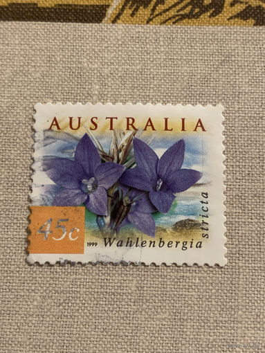 Австралия  1999. Флора. Цветы. Wahlenbergia Stricta