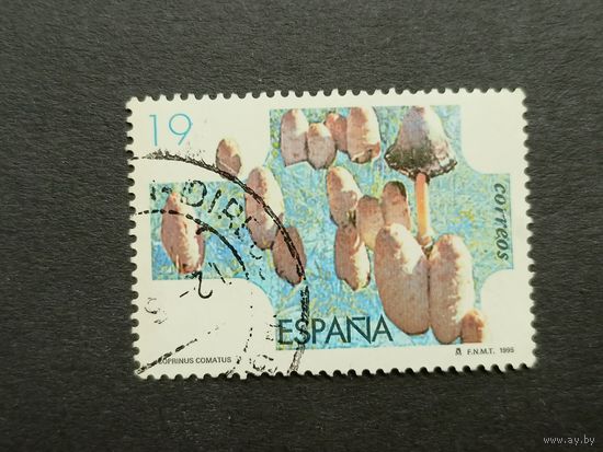 Испания 1995. Грибы