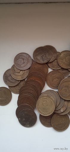Сборка монет 5 копеек ссср