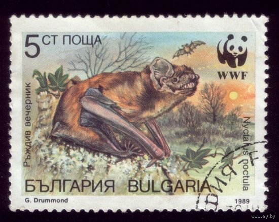 1 марка 1989 год Болгария 3741