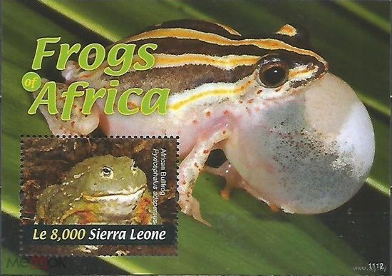Сьерра-Леоне Земноводные Мраморная жаба Роющая лягушка 2011  MNH
