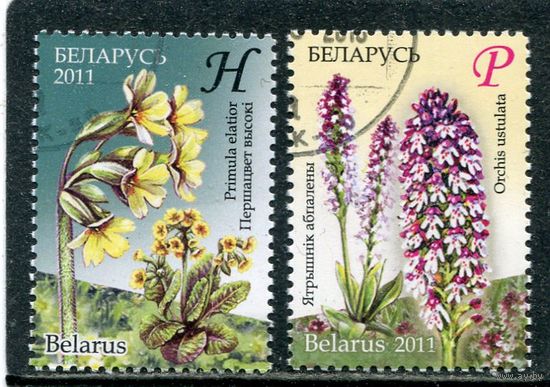 Беларусь 2011.. Флора. Охраняемые растения