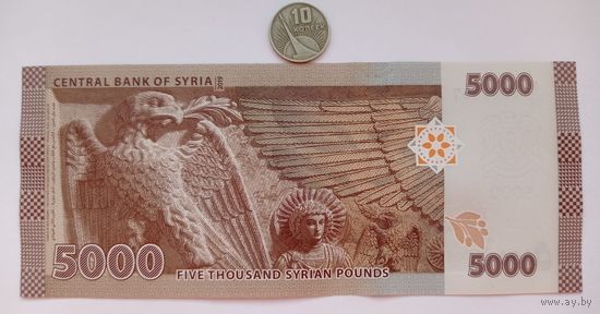 Werty71 Сирия 5000 фунтов 2019 UNC банкнота