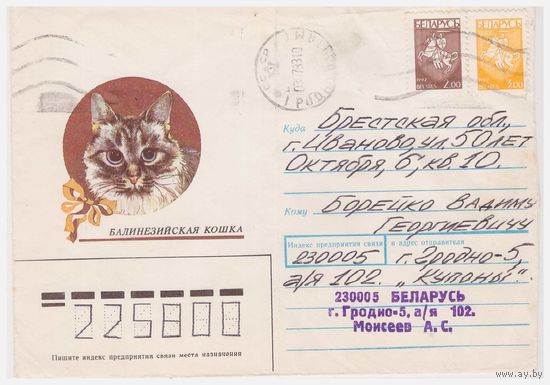 Конверт СССР, прошедший почту. Балинезийская кошка
