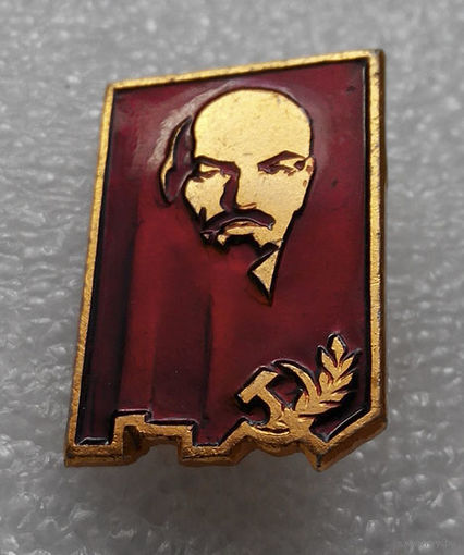 Значок. В.И. Ленин #0227