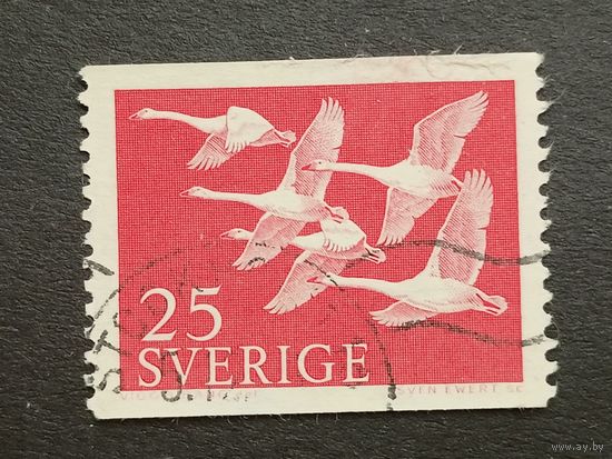 Швеция 1956. Марки Севера - Птицы