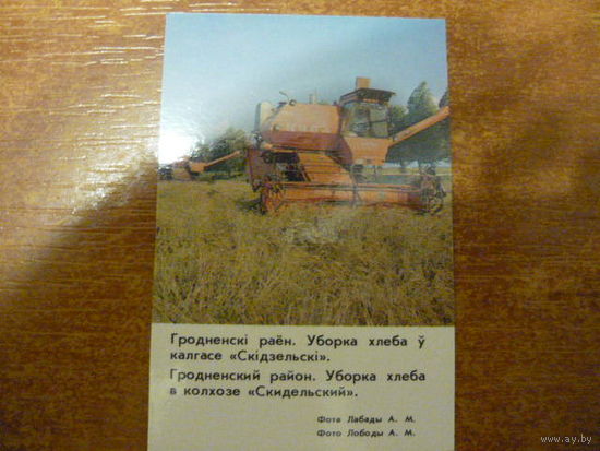 Гродненский р-н. Уборка хлеба в колхозе "Скидельский". 1986г