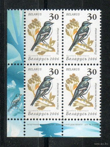 Девятый стандартный выпуск "Птицы сада" Беларусь 2006 год (650) 1 марка в квартблоке (простая бумага)