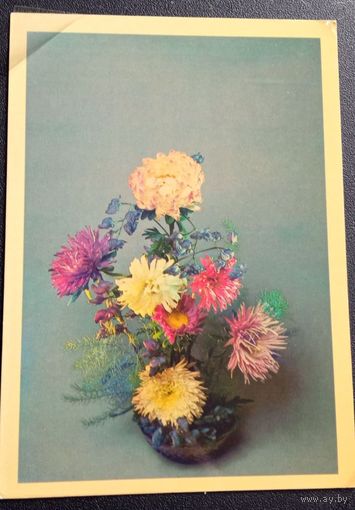 Открытка чистая,  композиция из цветов 1983