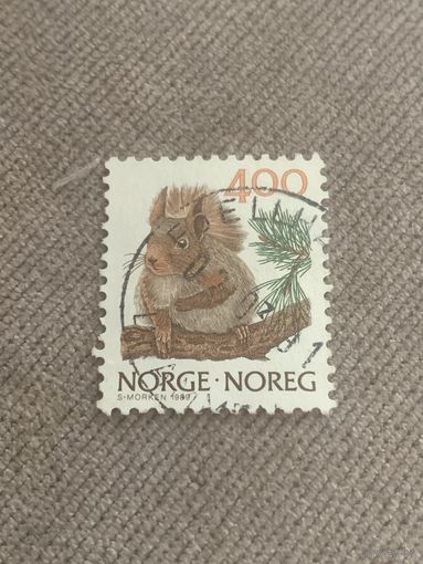 Норвегия 1989. Белка