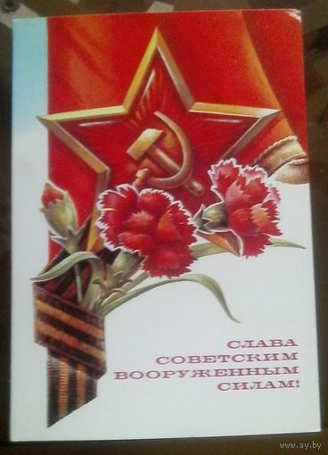 1981 год А.Жребин Слава советским ВС