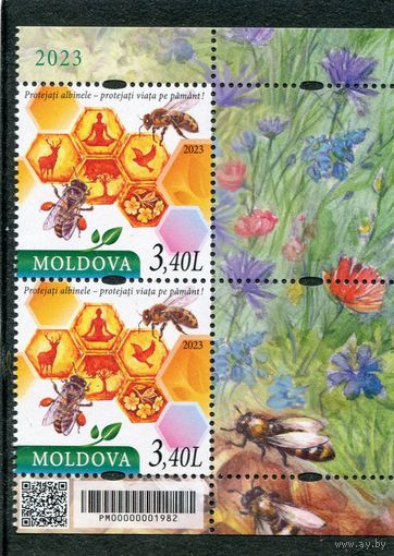 Молдавия 2023. Пчеловодство. Правая сцепка листа
