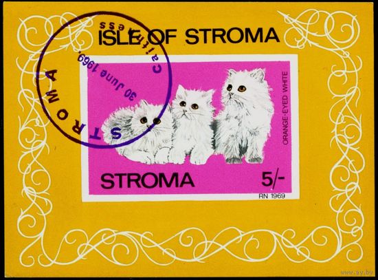 Кошки Строма 1969 год блок из 1 беззубцовой марки