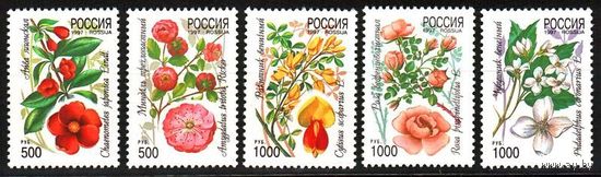 Россия 1997 Флора. цветы 333-337  Декоративные кустарники.  **