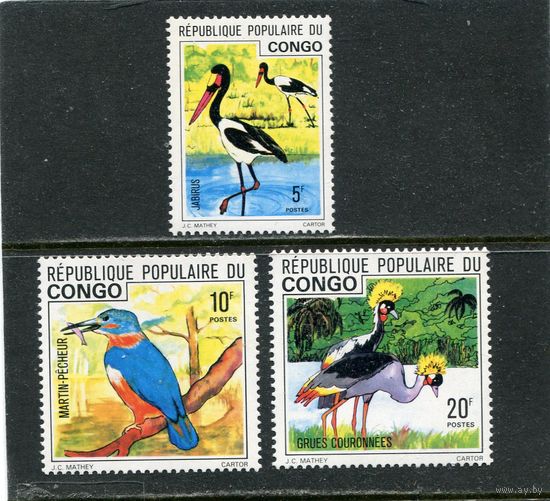 Конго Браззавиль. Птицы