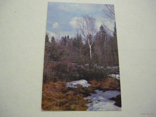 Весна в лесу .1982г