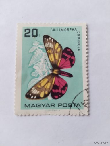 Венгрия  1966 бабочка