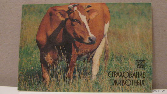 Календарик. Страхование животных. 1987г.