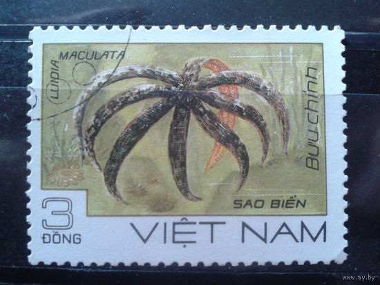 Вьетнам 1985 Морская фауна