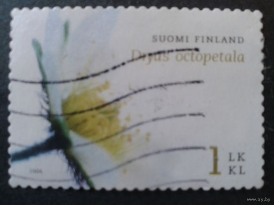 Финляндия 2006 цветок