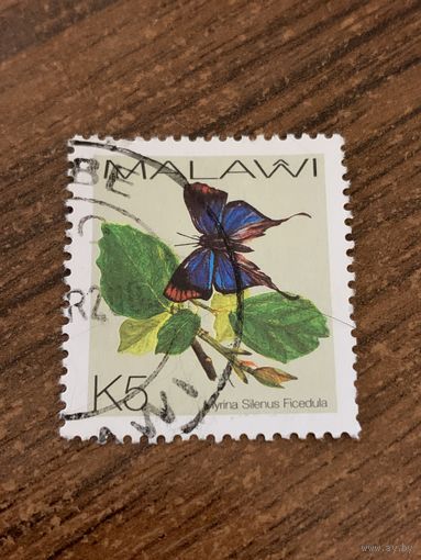 Малави 2004. Бабочки. Marina Silenus Ficedula. Марка из серии