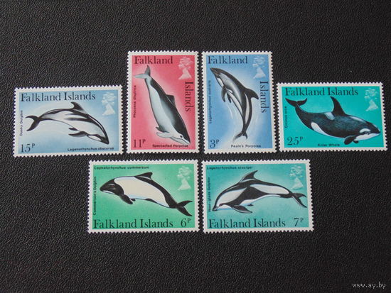 Фолклендские острова. Дельфины.