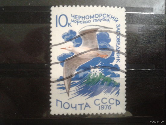 СССР 1976 морской голубок