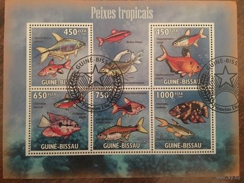 Гвинея-Бисау 2009 тропические рыбы (блок)