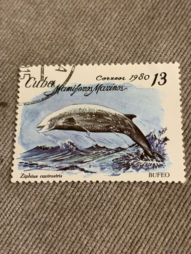 Куба 1980. Дельфины. Ziphius covirostris. Марка из серии