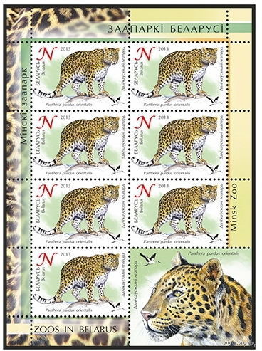2013г Беларусь MNH  "Дальневосточный леопард"