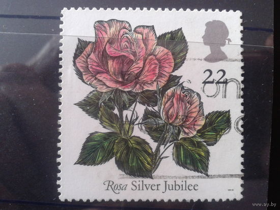 Англия 1991 Розы