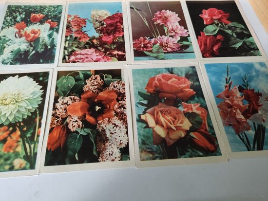 8 открыток фотохудожников Ананьиных  (1960-е годы), (на одной из открыток приклеена марка, погашенная почтой)