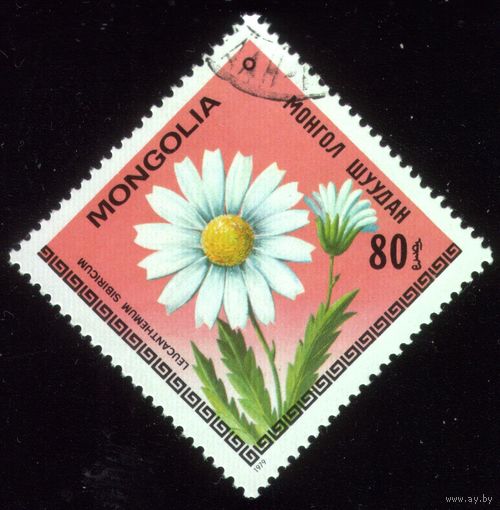 1 марка 1979 год Монголия Ромашка 1213