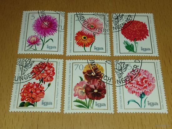 Германия ГДР 1975 Флора. Цветы. Полная серия 6 марок