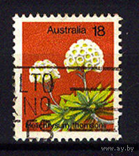1975 Австралия. Цмин
