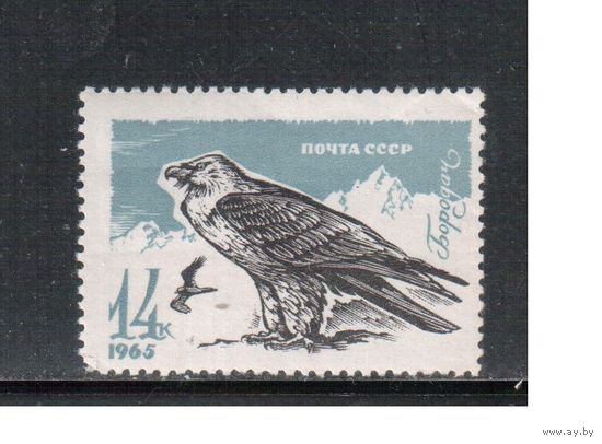 СССР-1965, (Заг.3203), *  , Фауна, Бородач