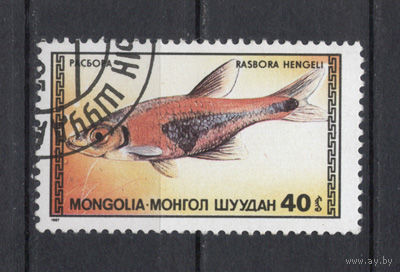 Монголия.1987.Рыбы (1 марка)