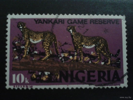 Нигерия 1973 гепарды