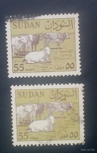 Дикие коровы 2 марки