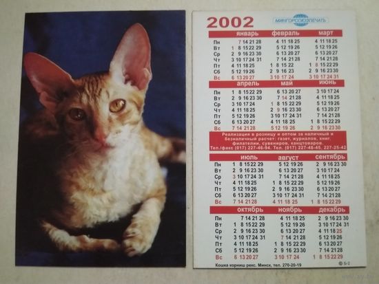 Карманный календарик. Котик. Мингорсоюзпечать. 2002 год