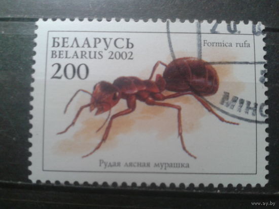 Беларусь 2002 Муравей