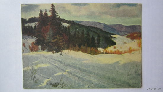 1955. Кашшай. Зима в Карпатах