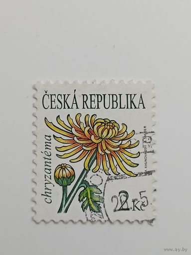 Чехия 2011. Цветы