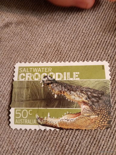 Австралия 2006. Крокодил