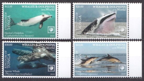 2020 Тонга 2315-2318 Морская фауна - Дельфины, Киты 125,00 евро