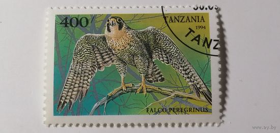 Танзания 1994. Фауна. Птицы.
