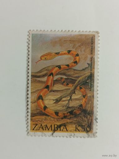 Замбия 1994. Змеи